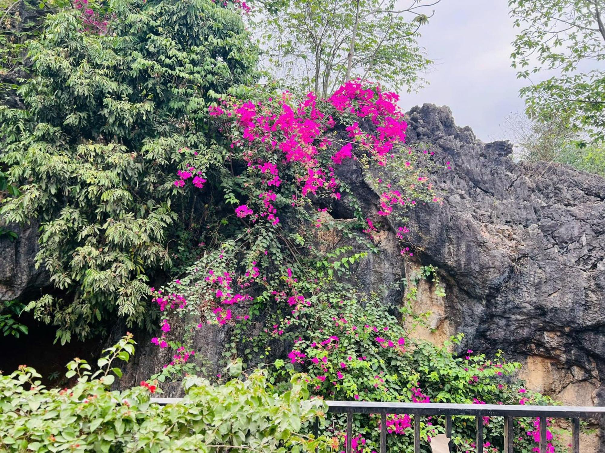 Mai Chau 4 Seasons Bungalow & Hotel 外观 照片